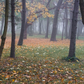 Есенно в парка