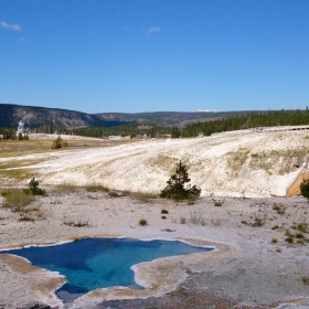 YELLOWSTONE NP 2014