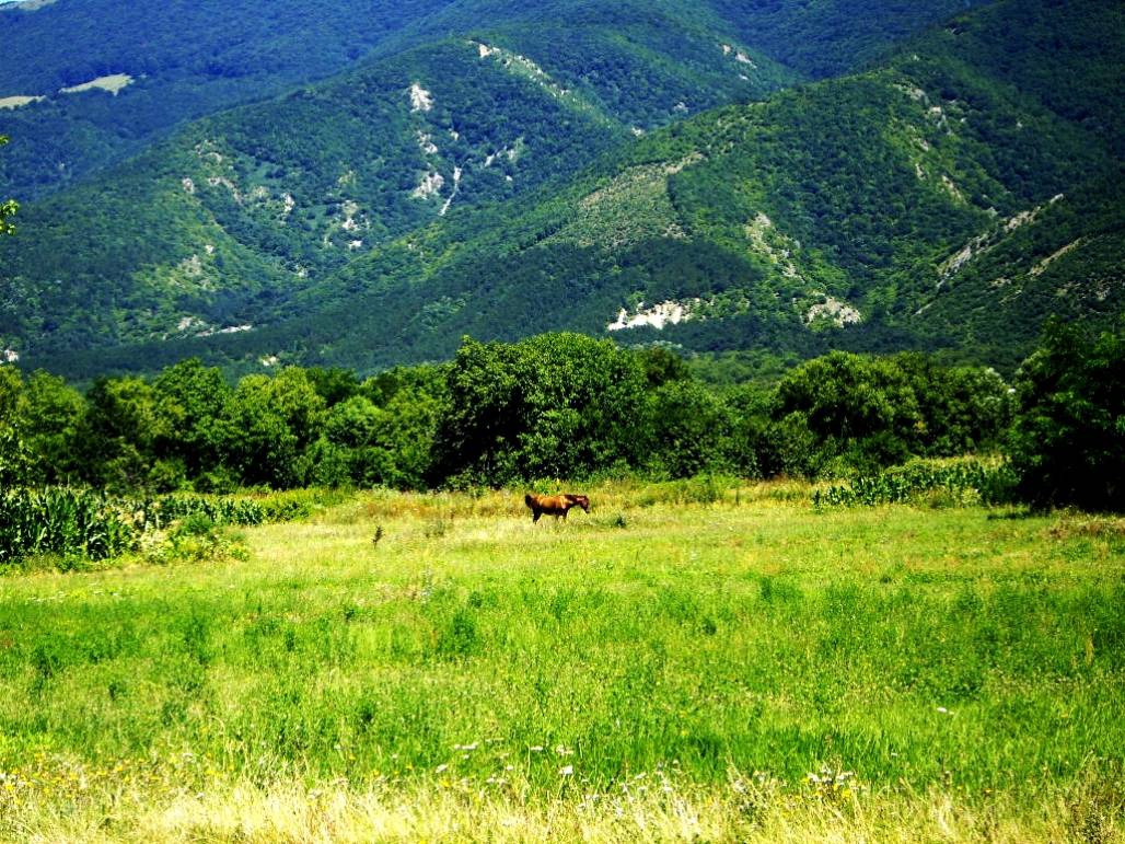 Самотен