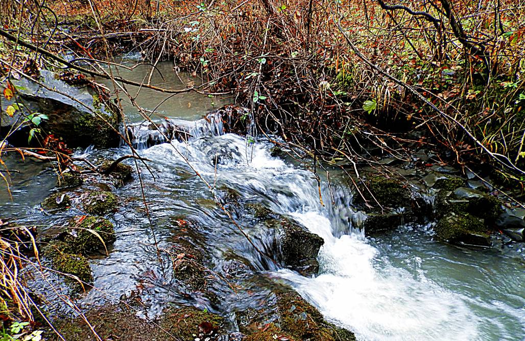 вода
