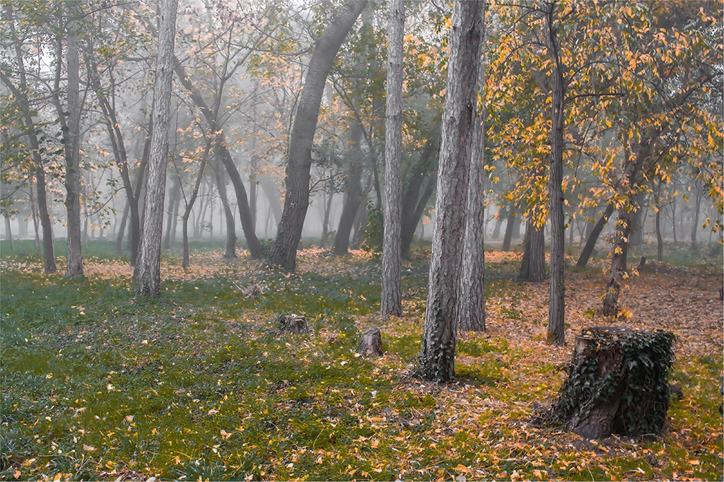 Есенно в парка