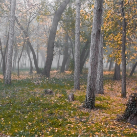 Есенно в парка