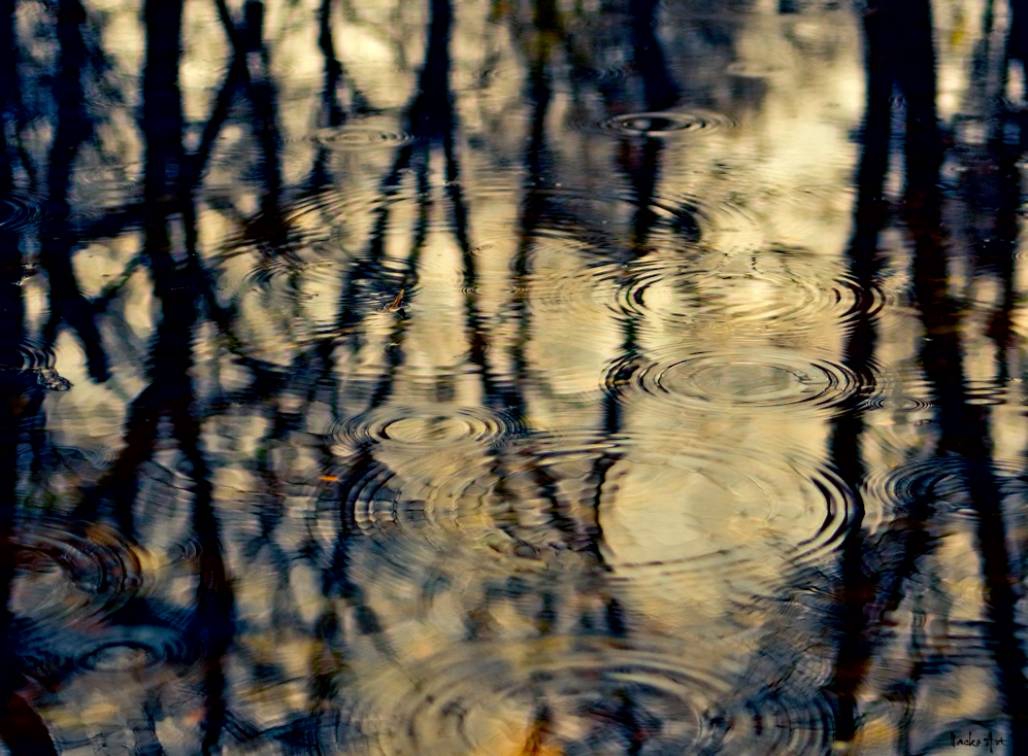 Circles