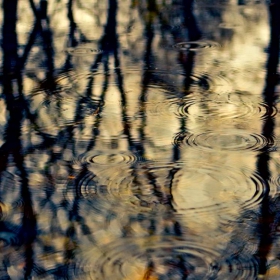 Circles
