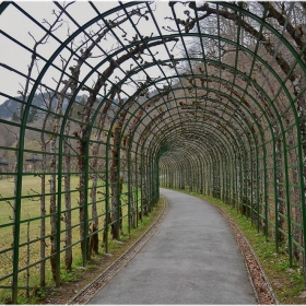 Garden tunnel