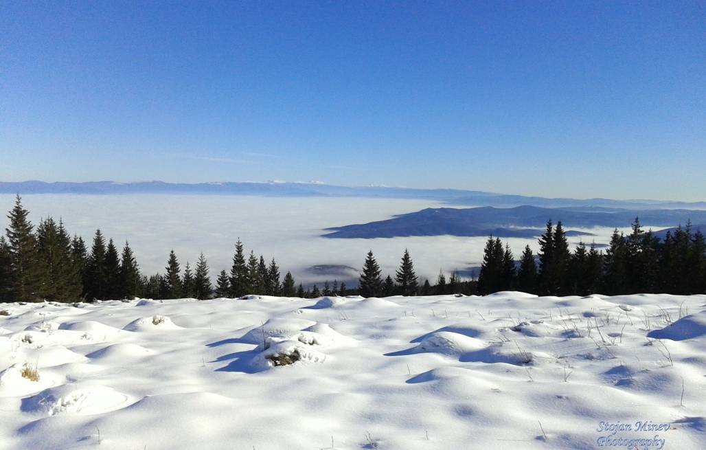 Алеко