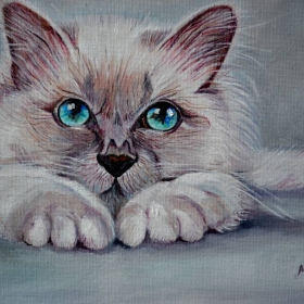 Сиамско котенце :)