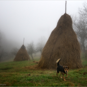 Охрана...