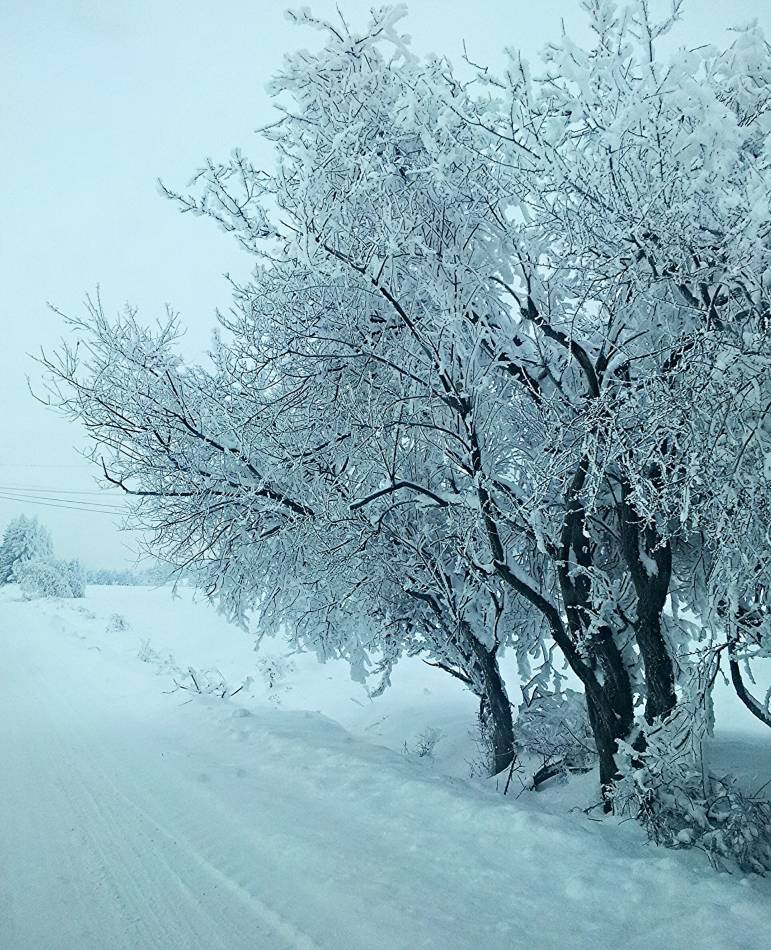 Зимна приказка