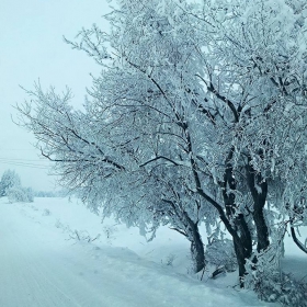 Зимна приказка