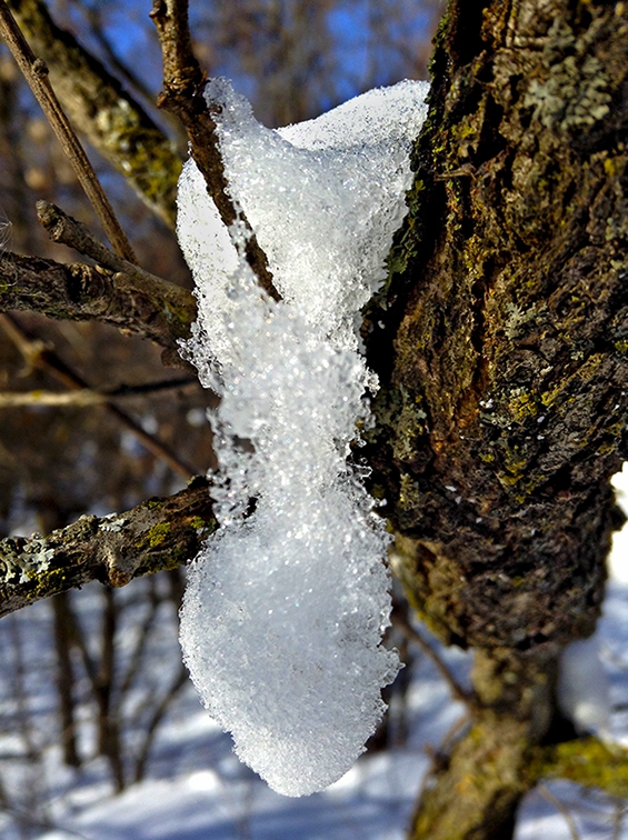 зима
