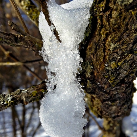 зима