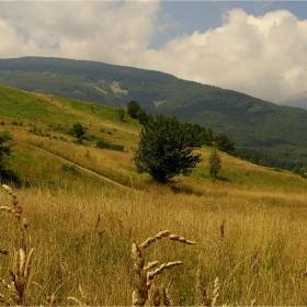 Лятно край Бистрица