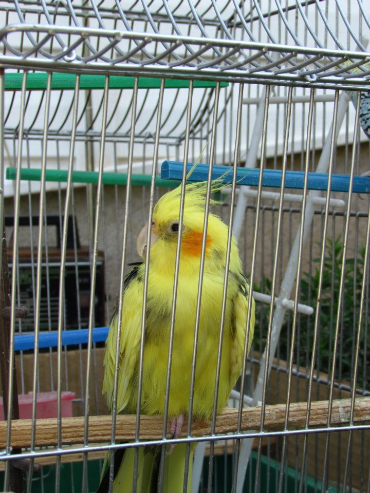 Снимка без име