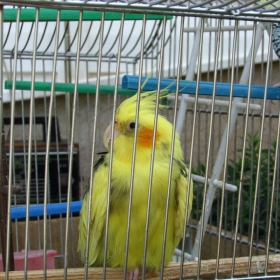Снимка без име