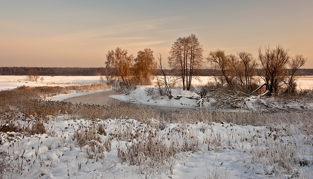 Beautiful winter