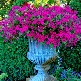Munsinger Garden