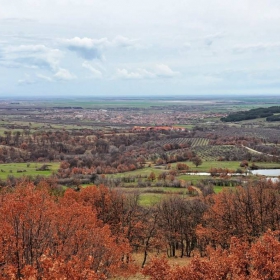 Около с.Старосел