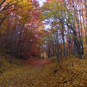 Спомен от есента