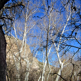 Montezuma Castle National Monument