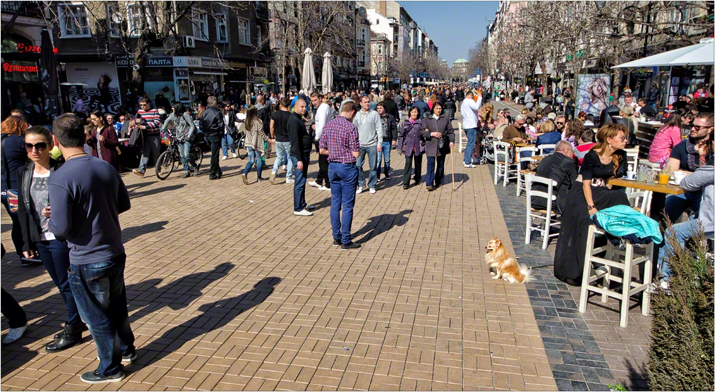 Слънчице в София