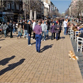 Слънчице в София