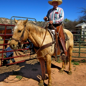 Cowboy