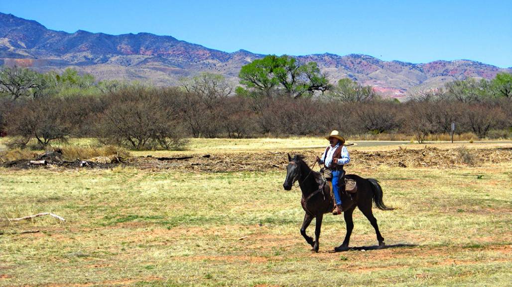 Vaquero