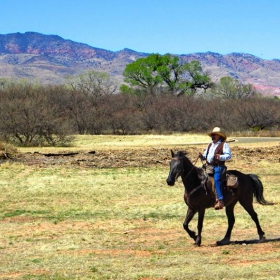 Vaquero
