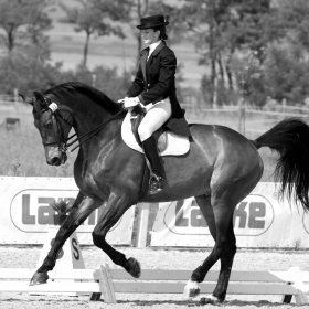 DRESSAGE - DANCE WITH ME !