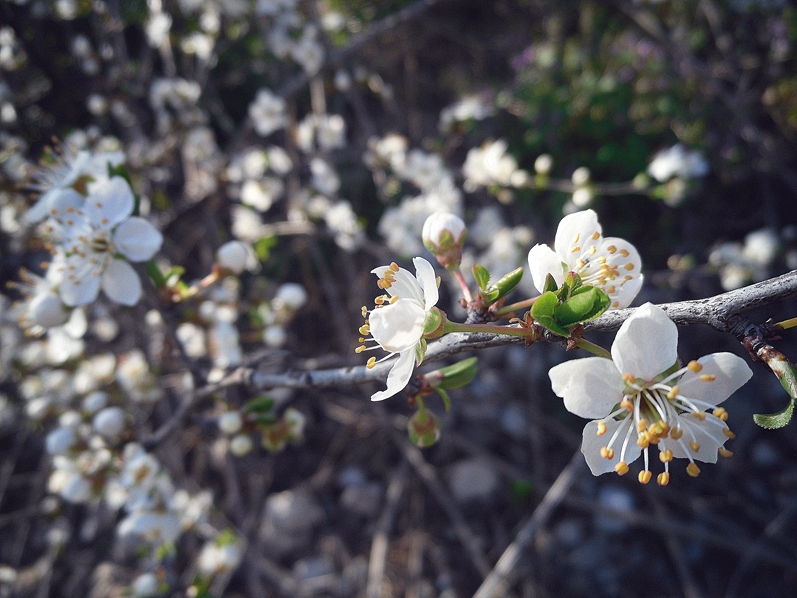 spring...