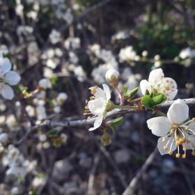 spring...