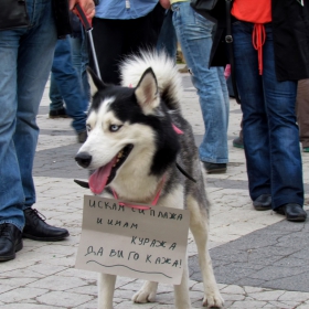 Протест против застрояването на Карадере!