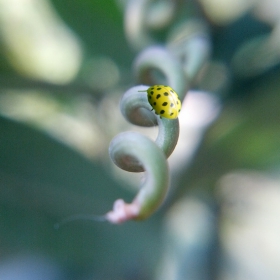Life spiral 2
