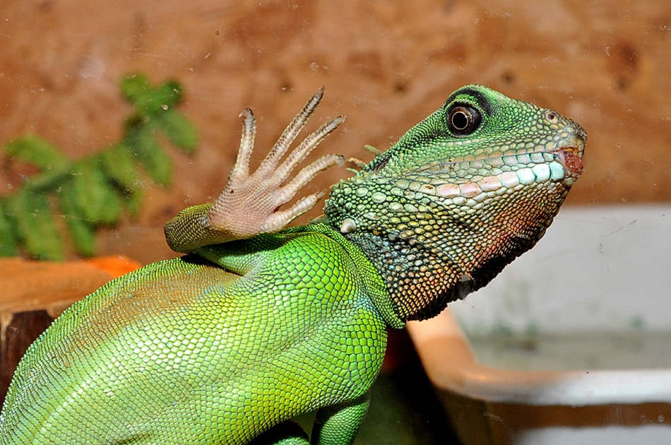 Снимка без име
