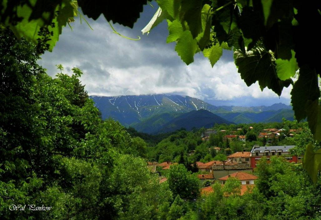 Острец 