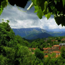 Острец 