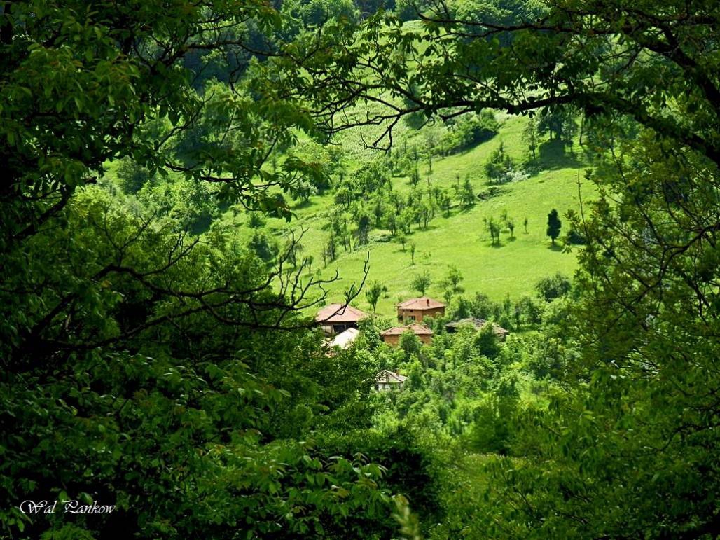 Острец 