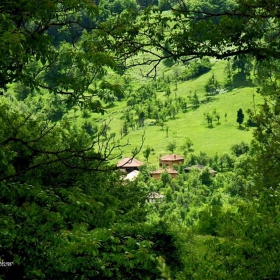 Острец 