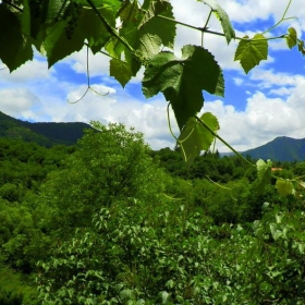 Острец 