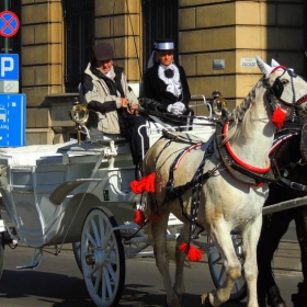 Krakow green taxi