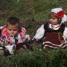 Кое ли цветенце да скъсам за момата?