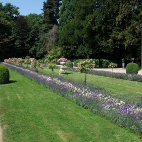 В градините на замъка Chenonceau