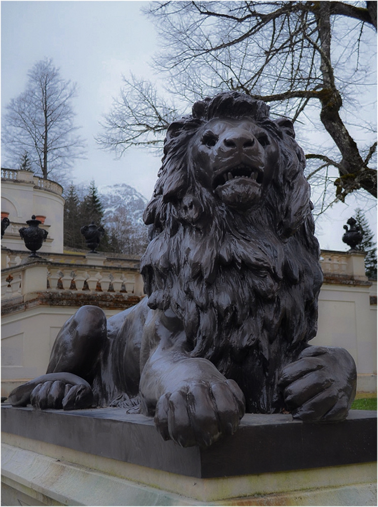 The lion