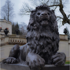The lion