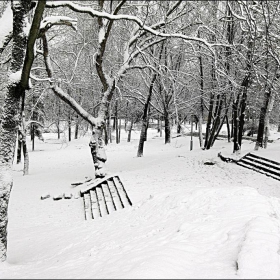 В зимнем парке.