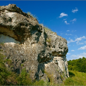 Крокодилската глава