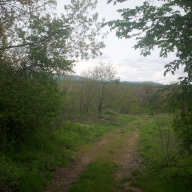на село