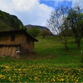 на село