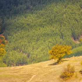 есенно, родопско